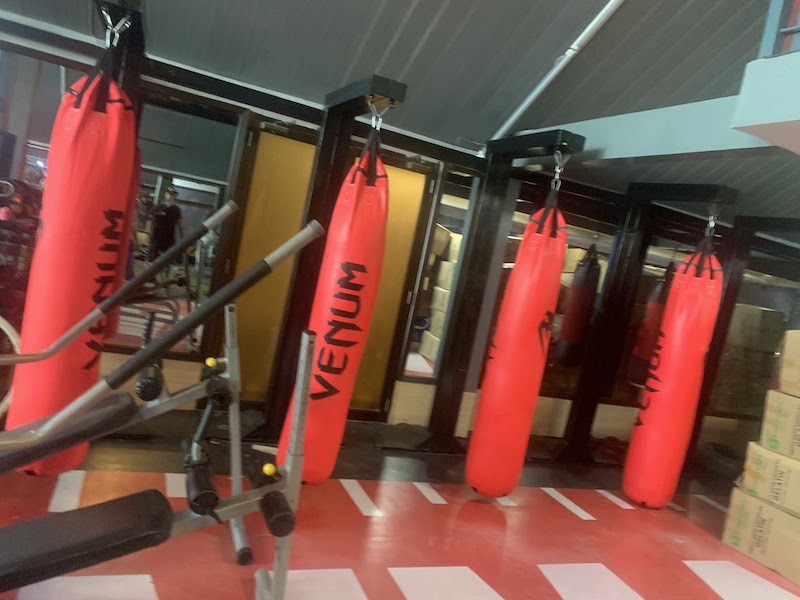 phỏng tập gym